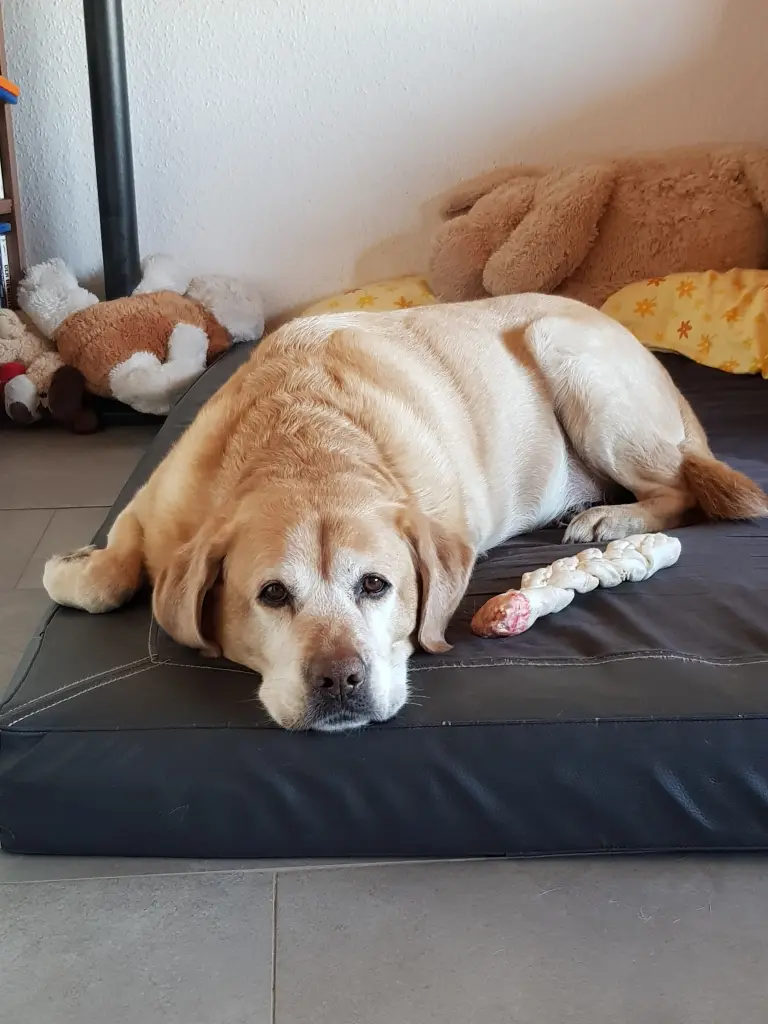 Condolence image of Unbekannt