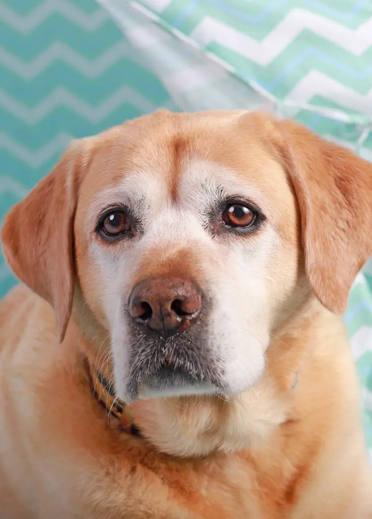 Condolence image of Unbekannt