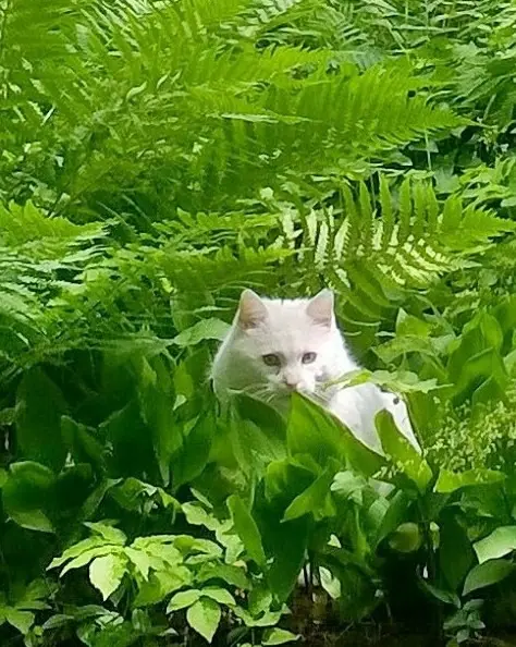 Image from Whitey