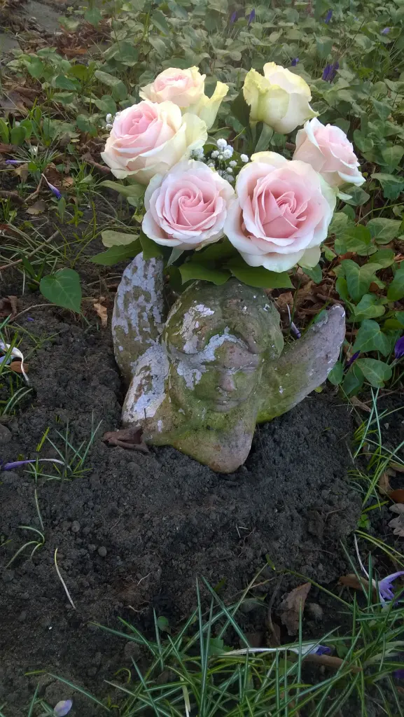Image from Whitey