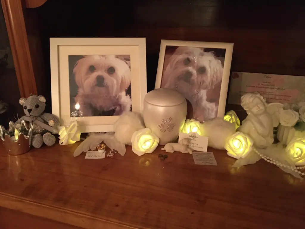 Condolence image of Alexandra Zeyfang 