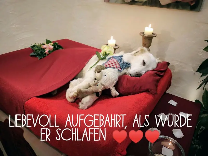 Condolence image of Stefan mit Luke im Herzen und Tränen in den Augen <3