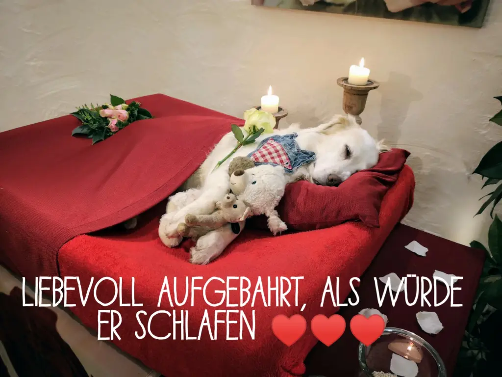 Condolence image of Stefan mit Luke im Herzen und Tränen in den Augen <3