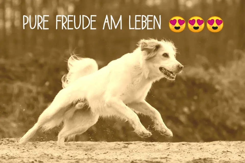 Image from <3 <3 <3 Luke <3 <3 <3 