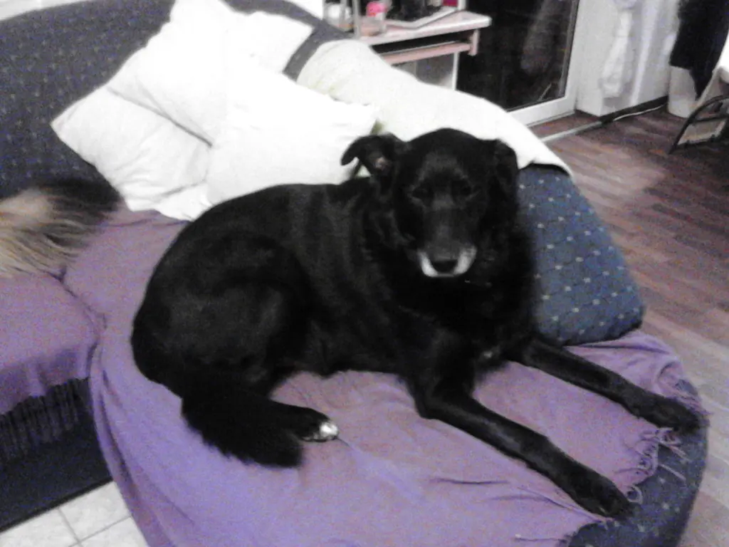 Condolence image of Margot
