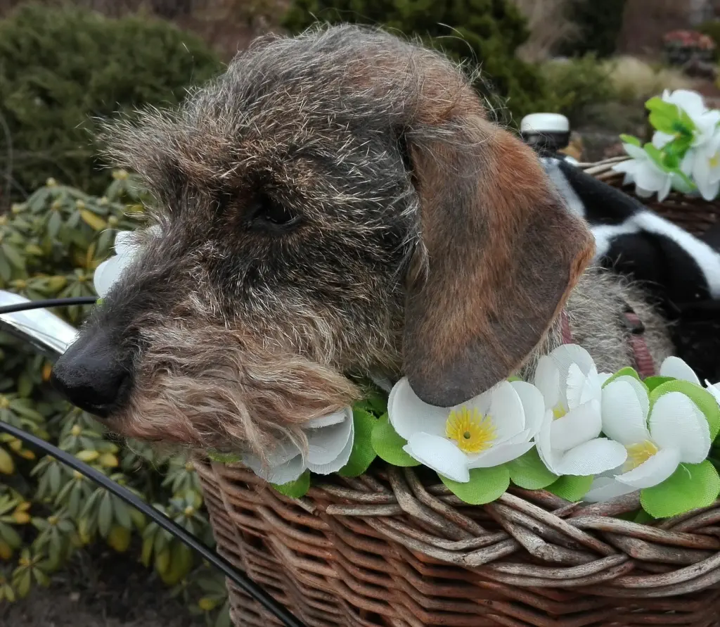 Condolence image of Barbara