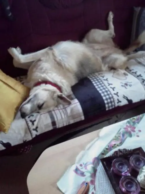 Image from Ronya