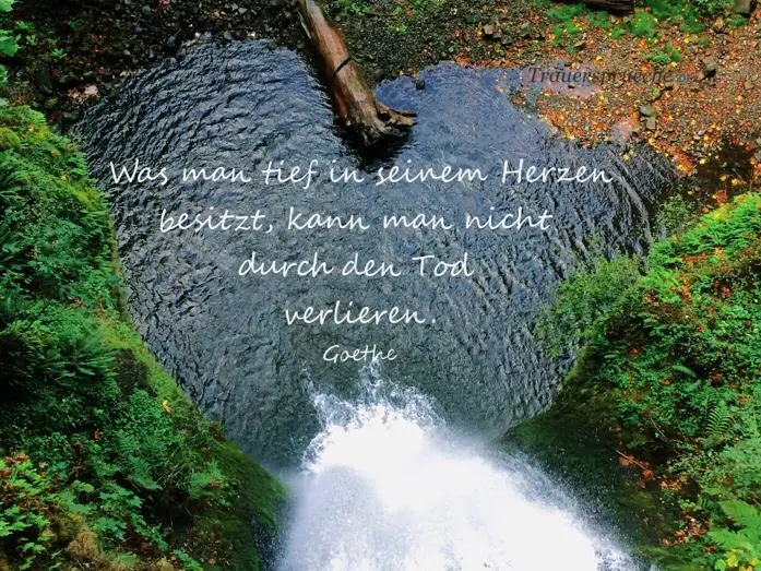 Condolence image of Tanja
