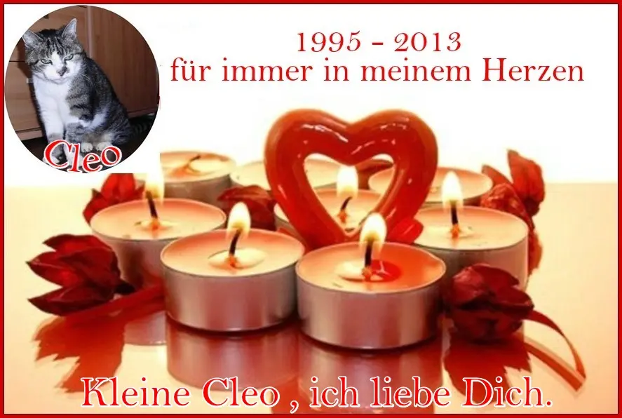Condolence image of Angelika