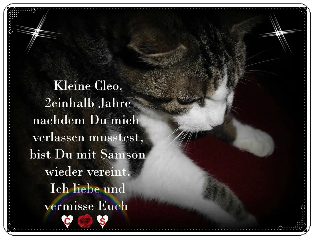 Condolence image of Angelika