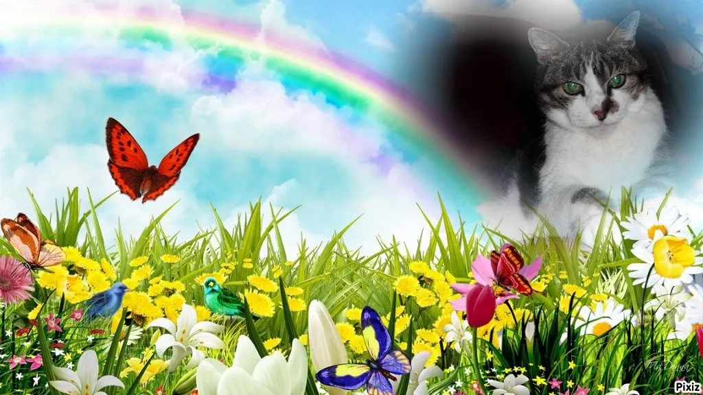 Condolence image of Angelika