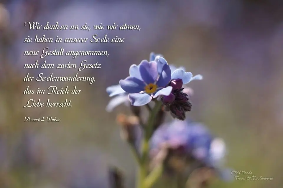 Condolence image of Angelika