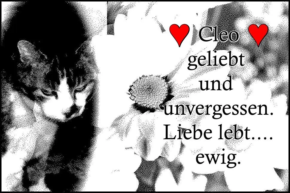 Condolence image of Cleo`s Mama , mein Leben lang .