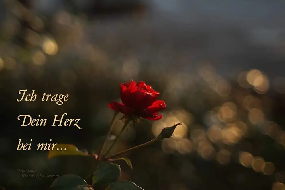 Condolence image of Deine Mama