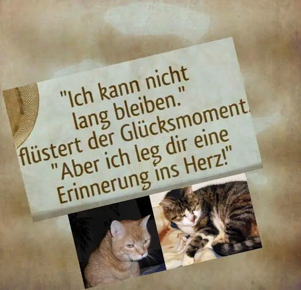 Condolence image of Deine Mama