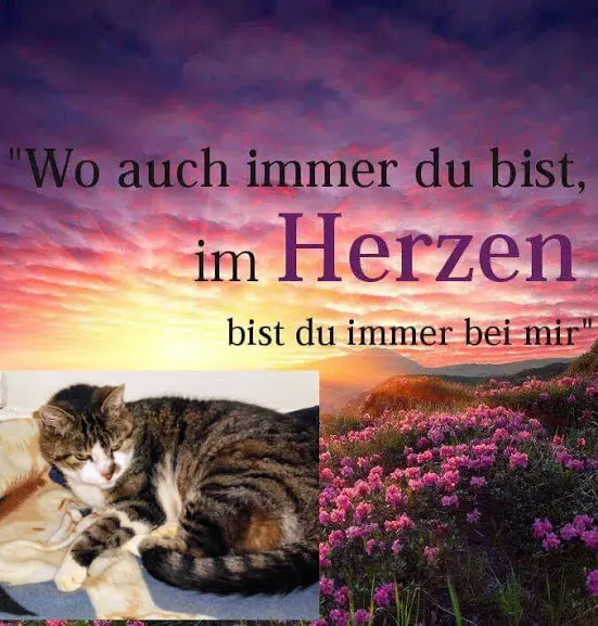 Condolence image of Deine Mama