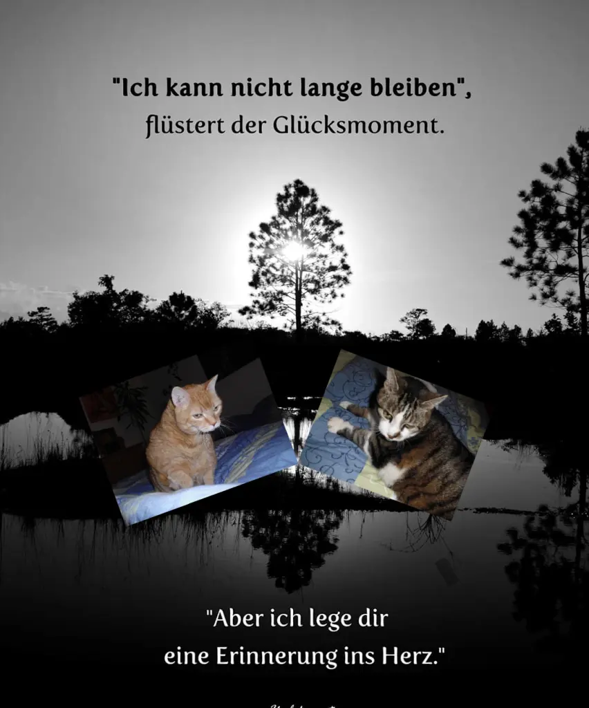 Condolence image of Unbekannt