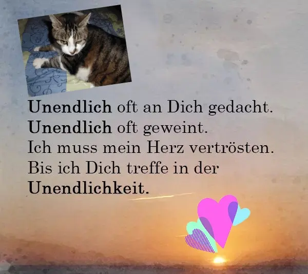 Condolence image of Deine Mama ❤