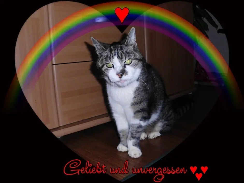 Image from Cleo
