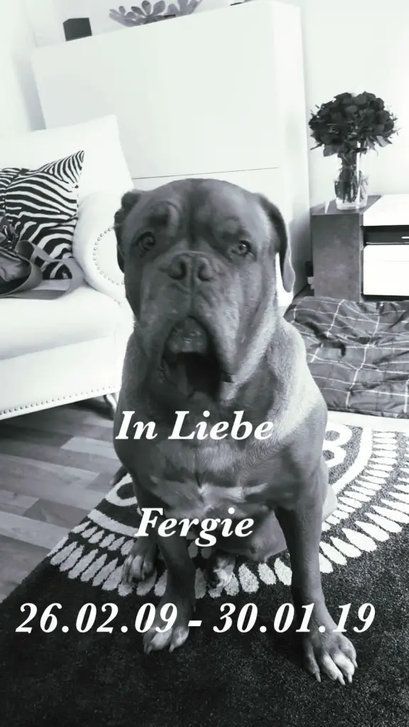 Image from Fergie