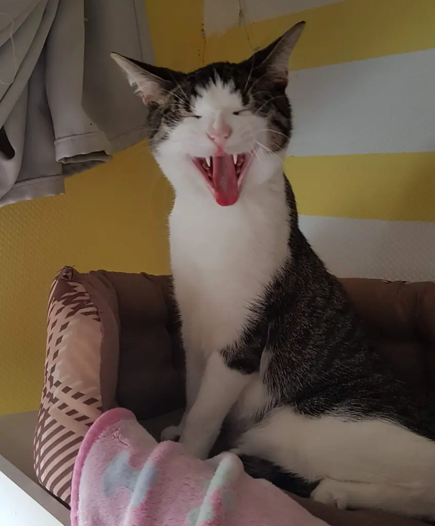 Andachtsbild von Eva Maria Hofmann