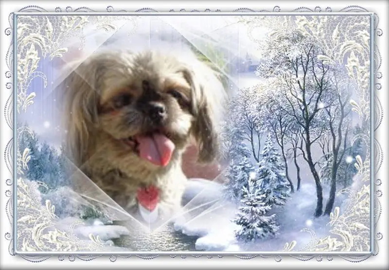 Andachtsbild von Kathrin mit Susi im Herzen