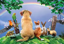 Condolence image of Jacqueline mit Jule und Nicki im Herzen