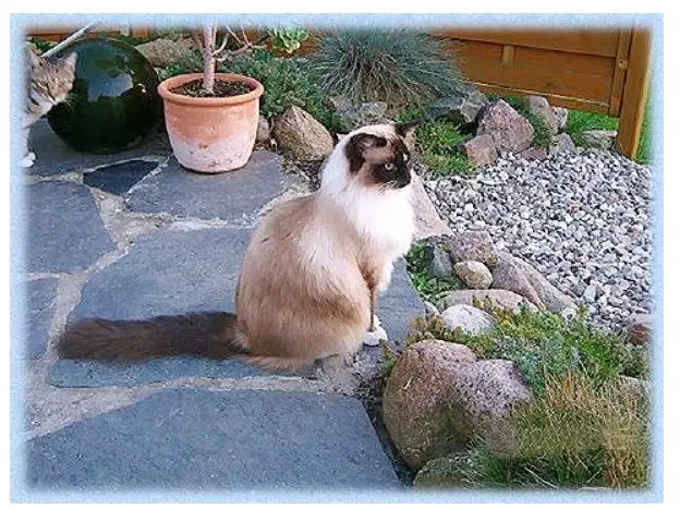 Image from Inessa