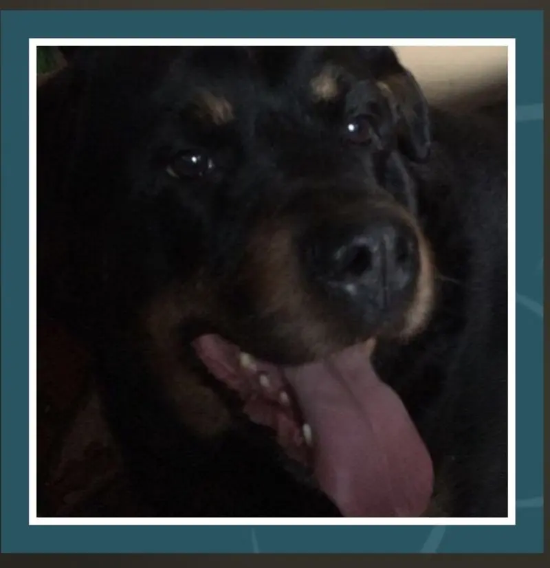 Condolence image of Nicole