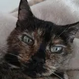 Image from Meggy