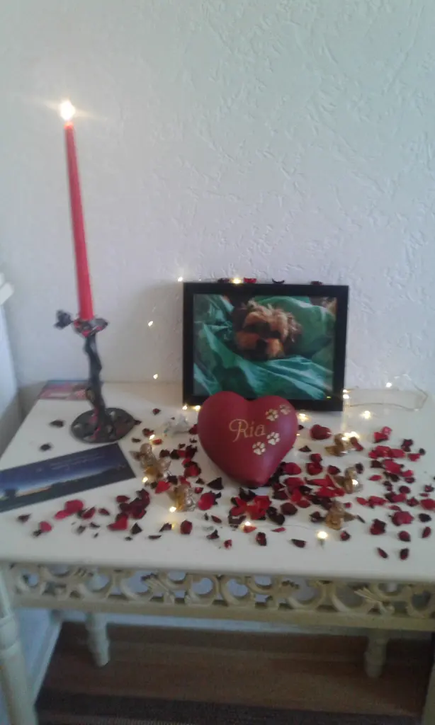 Image from Ria