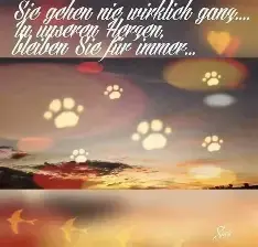 Condolence image of Brigitte mit Nelly, Benny und Axel im ❤️