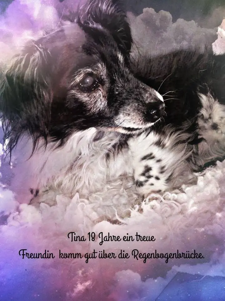 Image from Tina