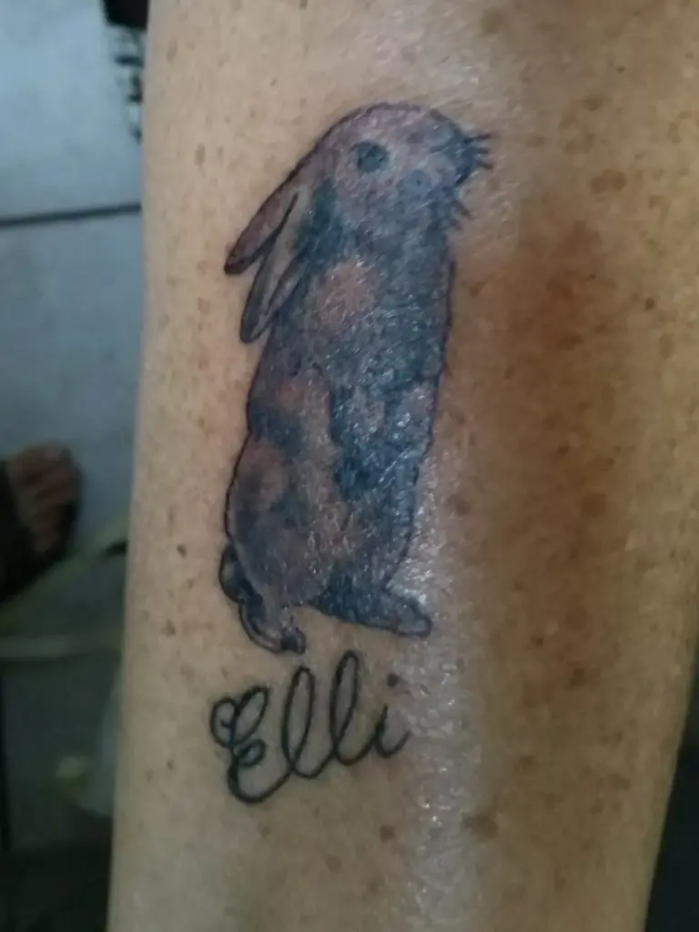 Image from Elli