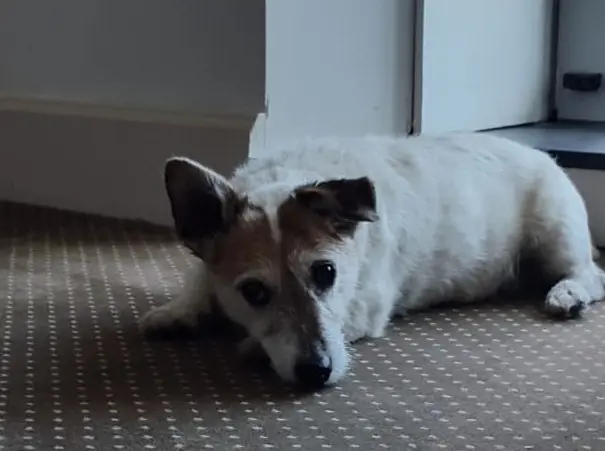 Andachtsbild von Nicole und Patrick mit Théo im Herzen