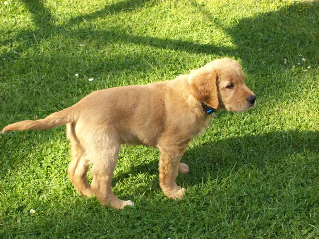 Image from Finley
