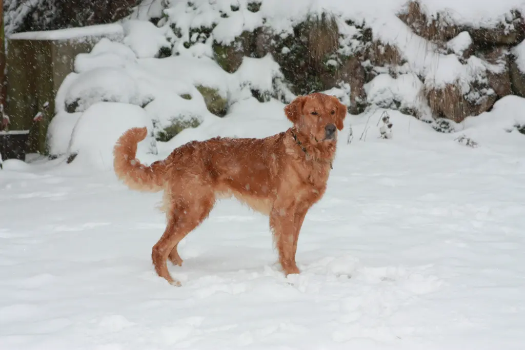 Image from Finley