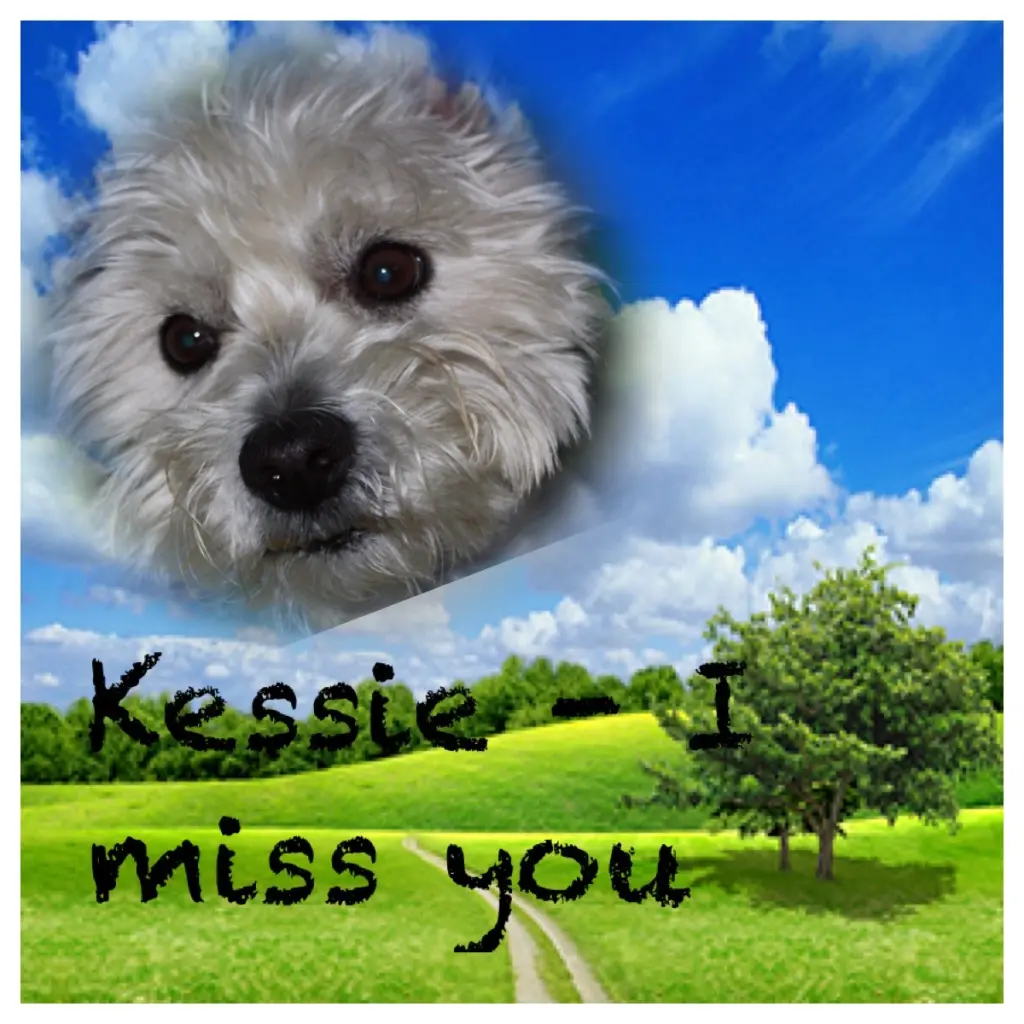 Image from Kessie