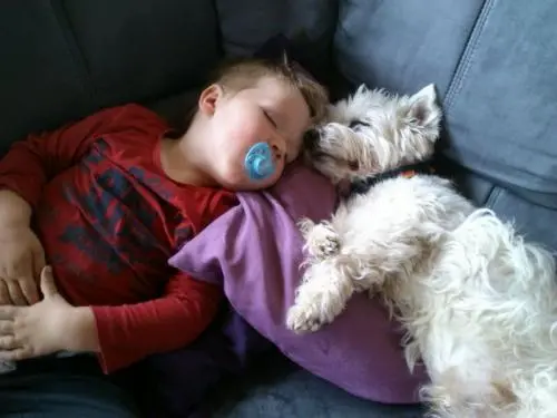 Image from Barnie