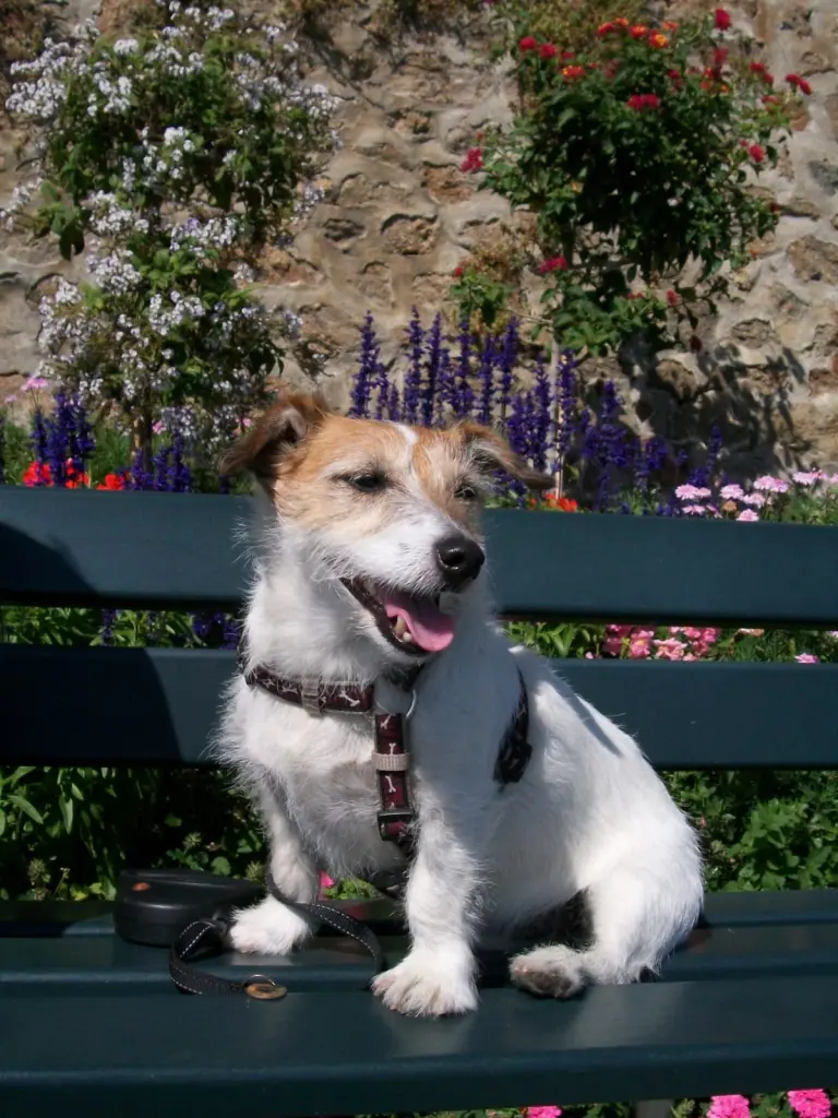 Andachtsbild von Nicole und Patrick mit Théo im Herzen