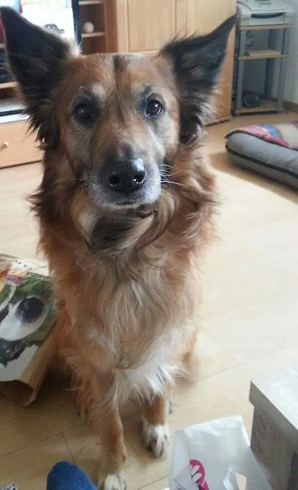 Andachtsbild von Sandra