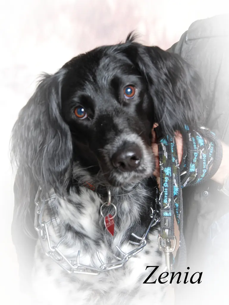 Condolence image of Marita