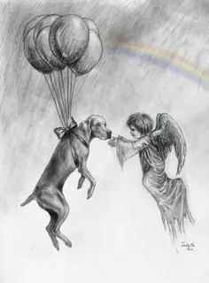 Condolence image of Unbekannt