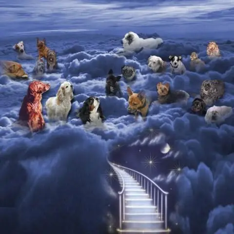 Condolence image of Unbekannt