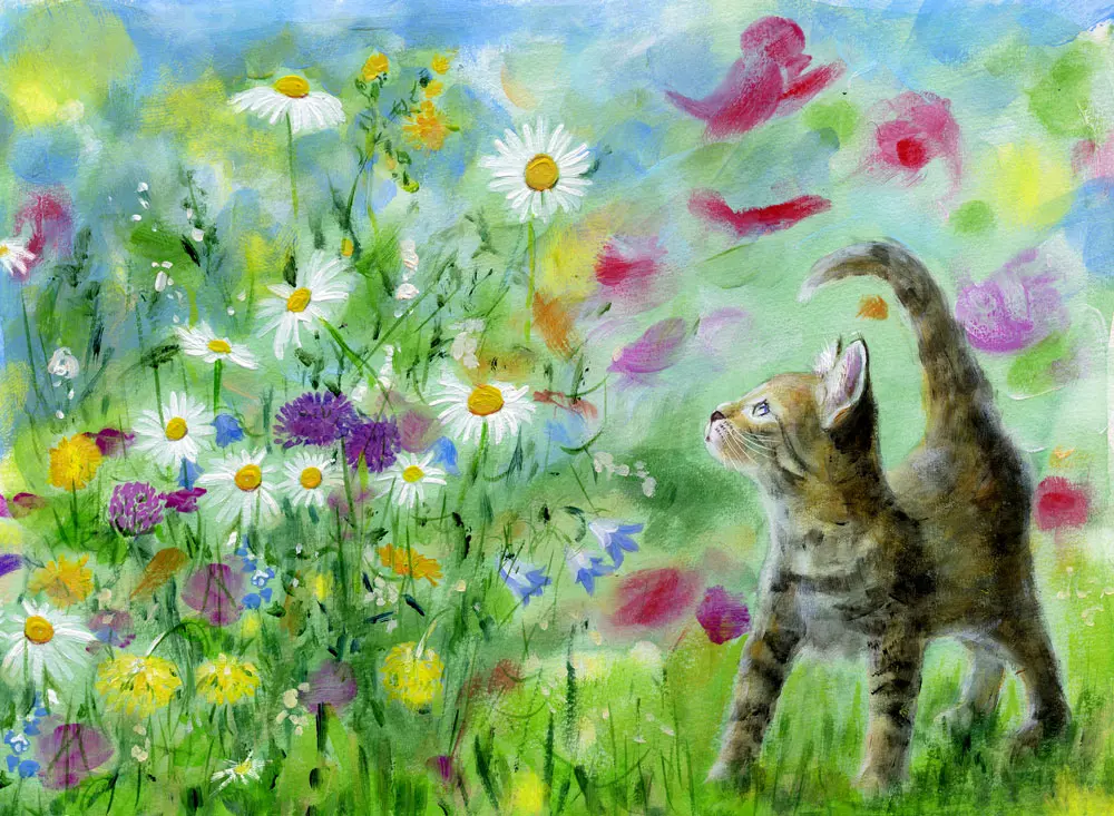 Condolence image of von mimi tief im Herzen Katze