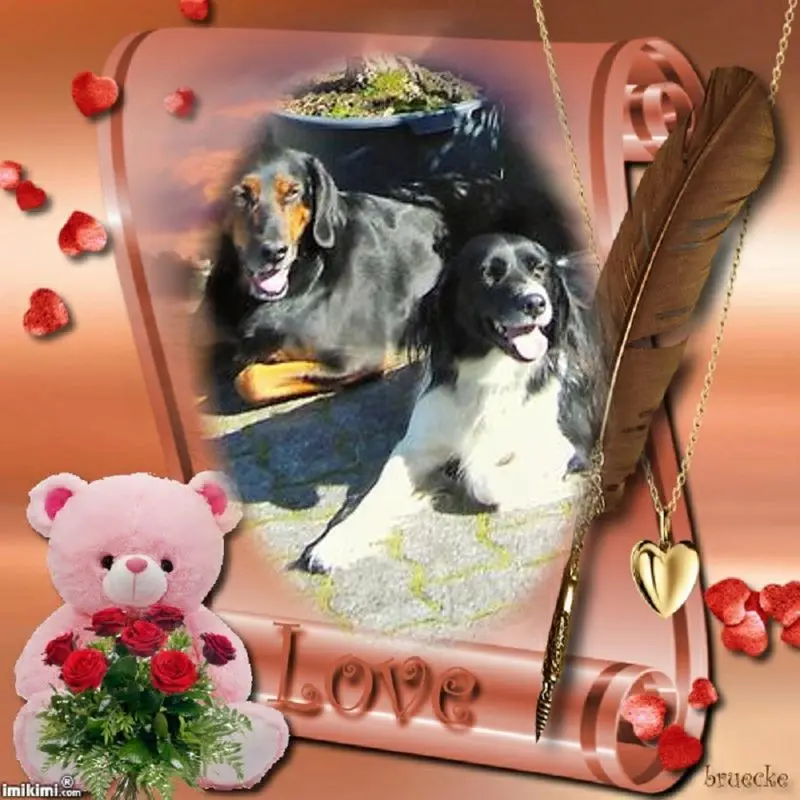 Andachtsbild von Brigitte mit Nelly, Benny und Axel im Herzen