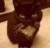 Image from Luna