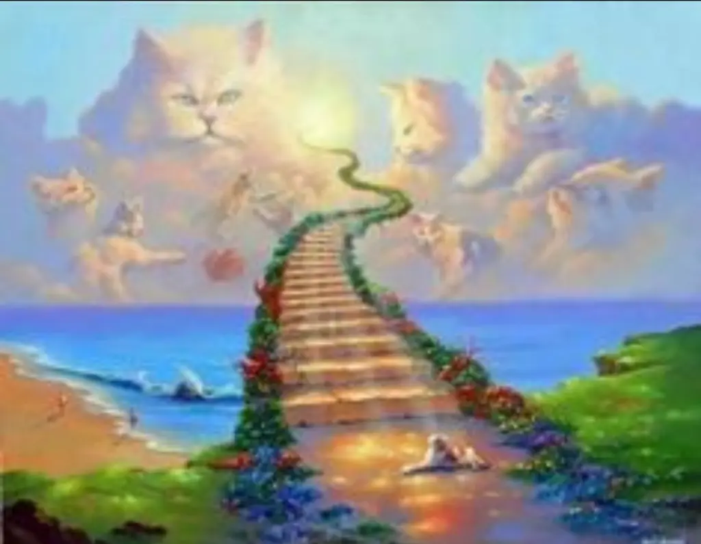 Condolence image of Andrea