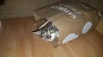 Image from Smoogle