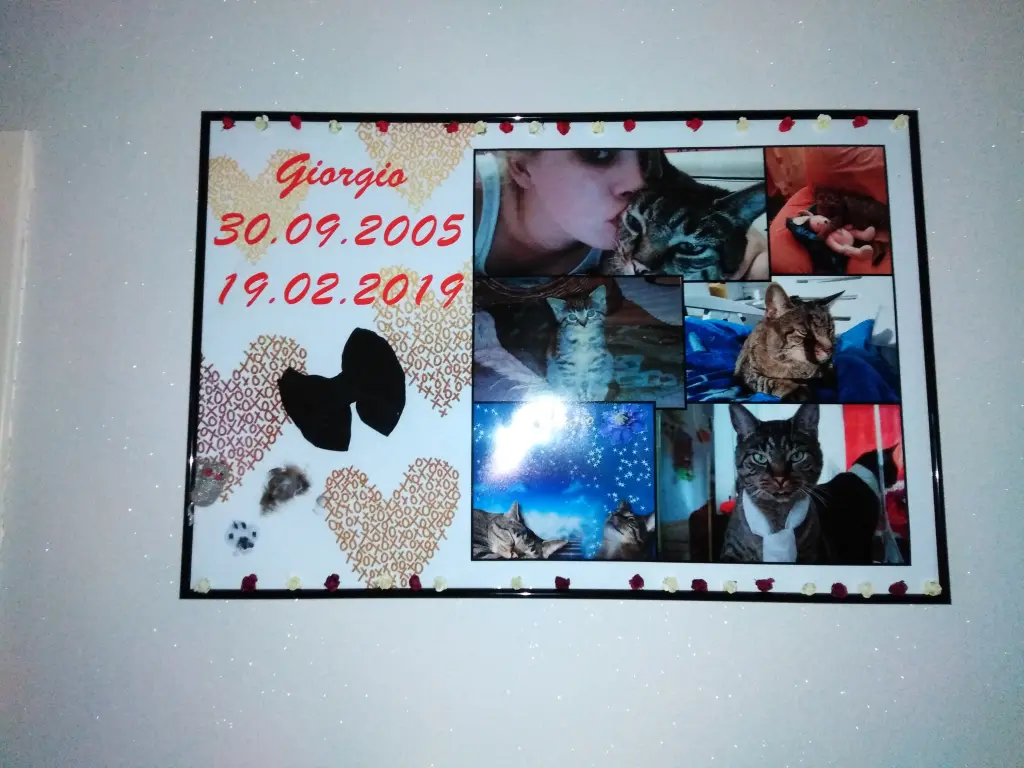 Image from Giorgio